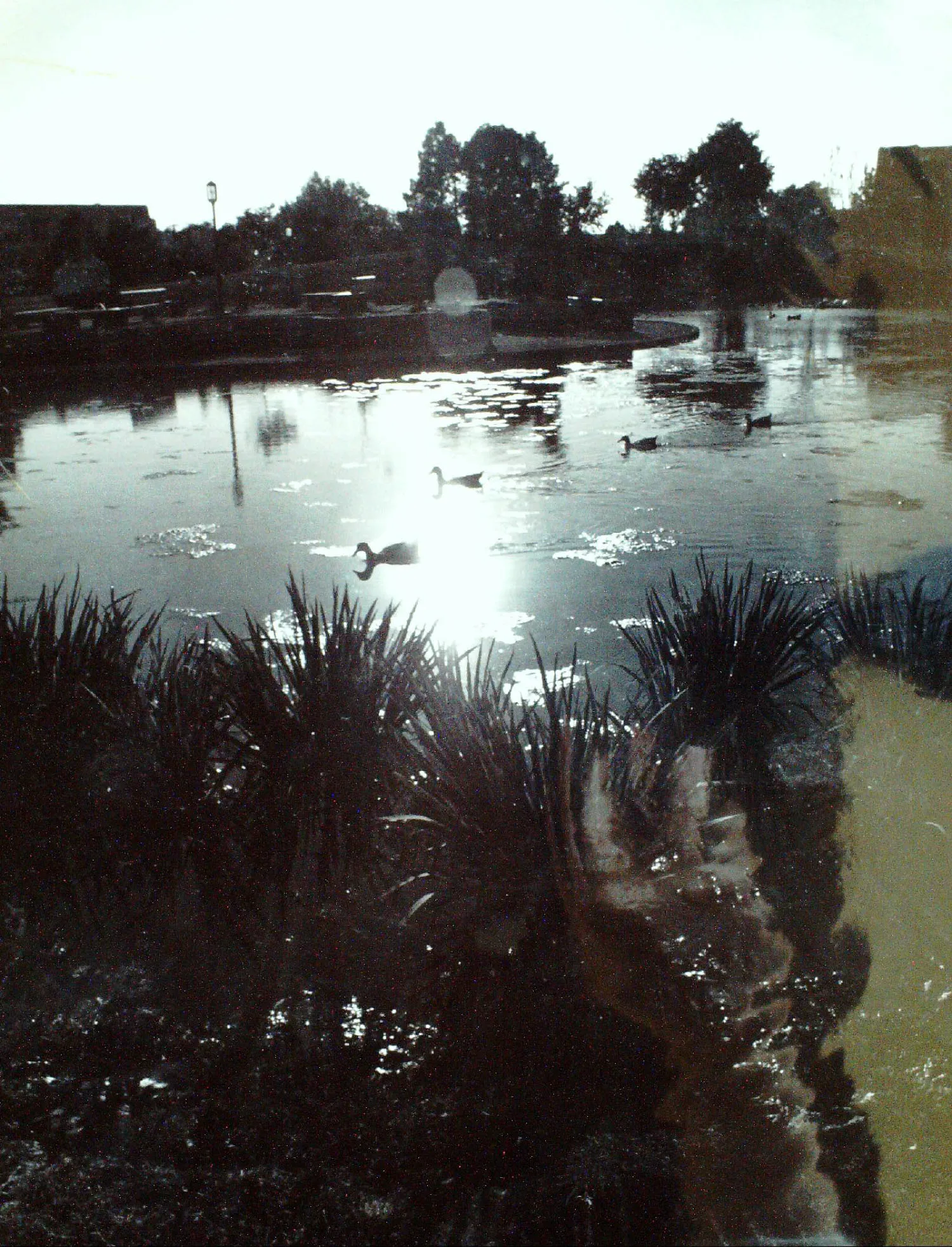 A serene park scene with a pond featuring a water fountain, surrounded by trees and a footbridge in the background. The sky is partly cloudy, indicating an autumn evening.