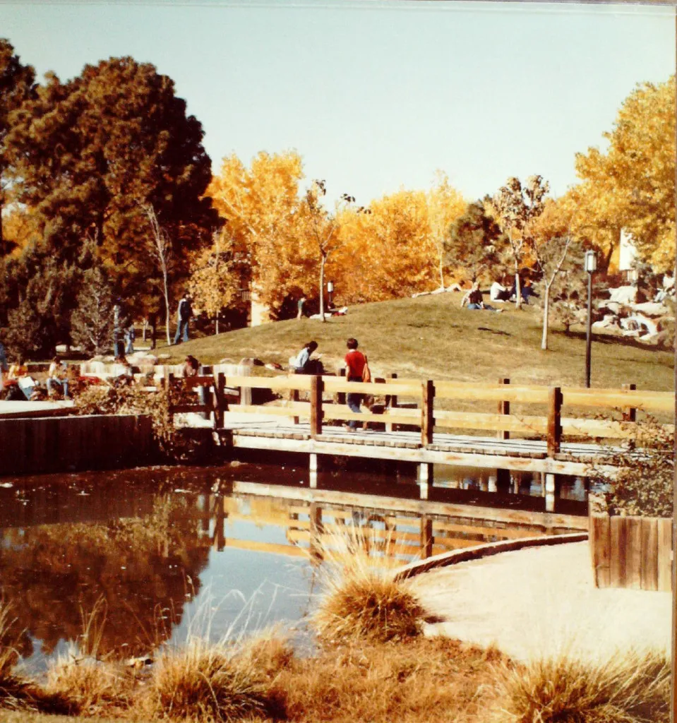 A picturesque bridge spanning a tranquil pond.